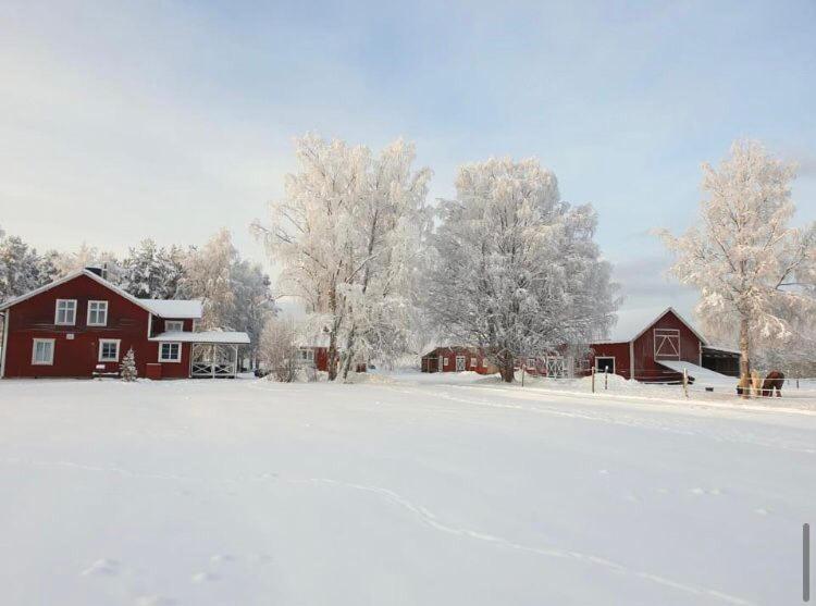 Hus I Ljuset Villa Näsåker Exterior foto